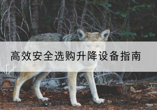 容县升降货梯厂家推荐-*安全选购升降设备指南