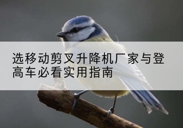 容县电动升降机厂家-选移动剪叉升降机厂家与登高车必看实用指南