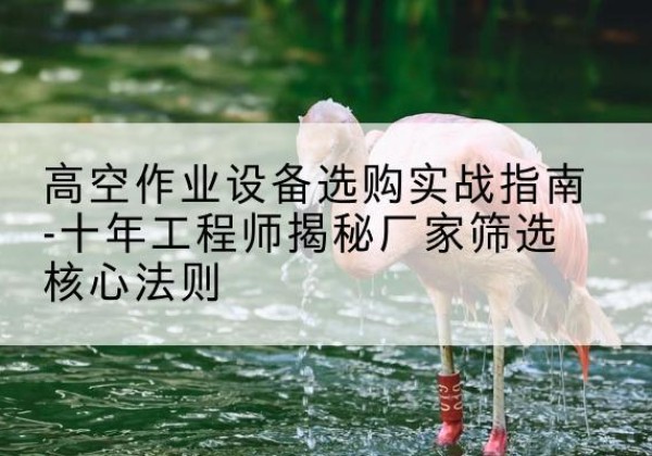 容县剪叉式升降机厂家-高空作业设备选购实战指南-十年工程师揭秘厂家筛选核心法则